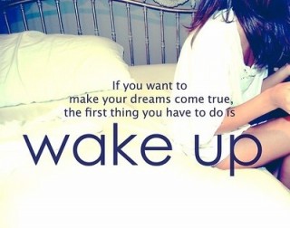 If you want to make your dreams come true, the first thing you have to do is wake up.
